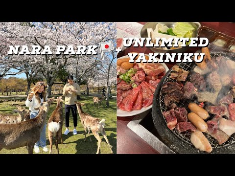 JAPAN TRAVEL GUIDE 2023: Visiting NARA PARK🦌 + Trying tasty UNLIMITED YAKINIKU in Osaka😍
