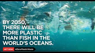 PSA: Ban Single Use Plastic Bags Everywhere! (2026)