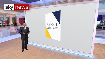 Br-explained: Your handy guide to Brexit