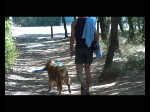 parasol.wmv