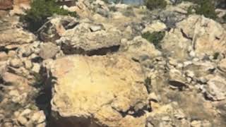 IMG 1034