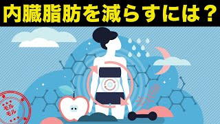 内臓脂肪を減らすダイエット食品５選 病気の予防に！