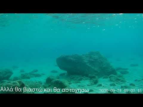 Α-ψαροντουφεκο στα ρηχά