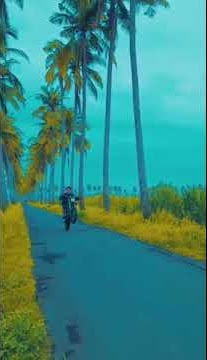 #klx#storywa#subscribe#comend                   story wa klx lapindo kecil