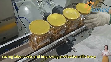 Dual Head Square Jar Screw Capping Machine: Twin-Station Sealing System for Various Square Container