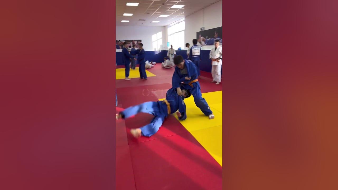 Передняя подножка в дзюдо