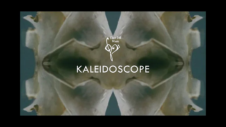 Kaleidoscope - Elicit Still (Official Music Video)