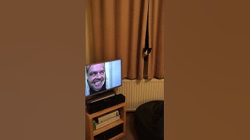 The cat doing a fairly decent impression of Jack Nicholson in The Shining. (The Director