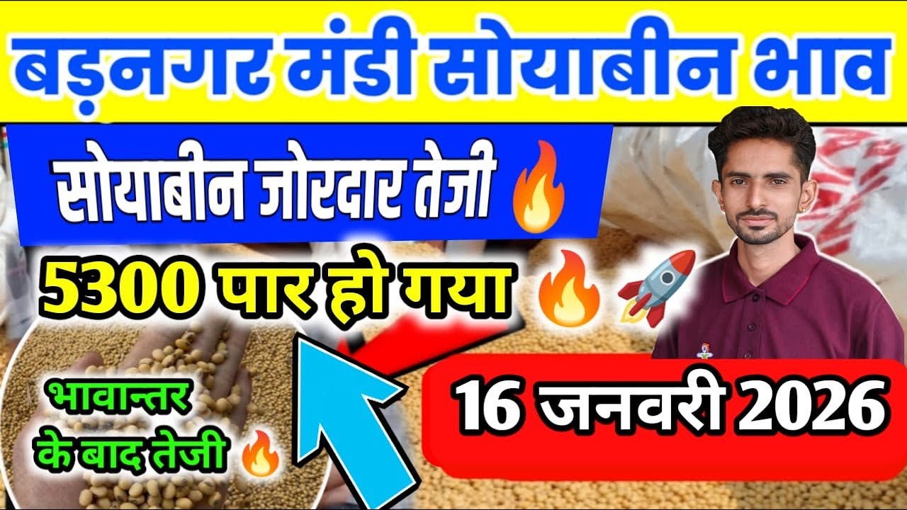 16 जनवरी 2026 बड़नगर मंडी सोयाबीन भाव /Today soyabin ret / ujjain mandi soyabin ret