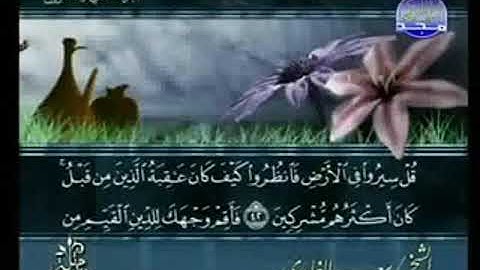 سورة الروم  من الآية 42 الى الآية 60