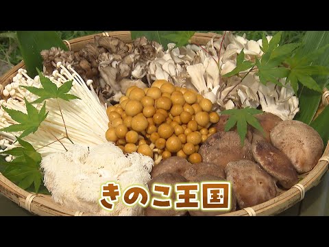 きのこ王国 イチ推しグルメ 鮭川村