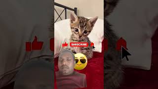 Httpsyoutubecomshortsvzrconkjhmksiqpdxualoxy39wjag
