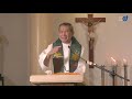 Sunday  Mass with Fr Jerry Orbos SVD - June 28, 2020