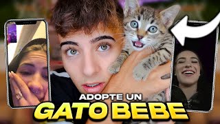  Influencers Reaccionan a MI NUEVO GATO BEBE!!! - @Sieteex