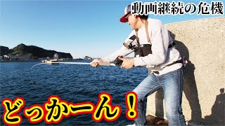 夕方湾内で竿を改造し釣りをしていたら凄いのがドッカーンきたー【超3高級魚】