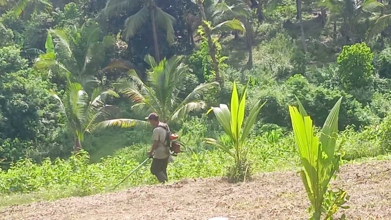 #babatsuket #kuliharian tetap smangat kawan  #Yamamoto 