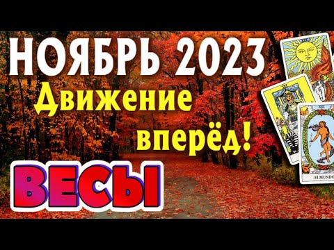 ВЕСЫ 🍁🍁🍁 НОЯБРЬ