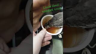 louie liked noodles soup