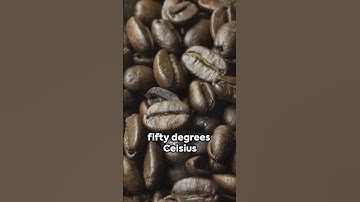 Thumbnail of Dark Roast Coffee- Bitter-Sweet-#DarkRoast #CoffeeLovers #RoastMaster #BoldFlavors #RichTaste