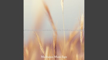 Tranquil Koto and Strings - Vibe for Mantra Meditation