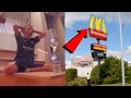 Top 10 IMPOSSIBLE Youtuber Water Bottle Flips (Best Water Bottle Flip Trickshots)