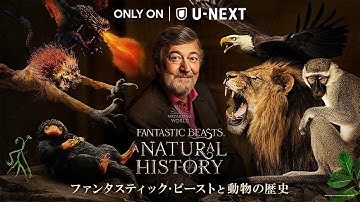『ファンタスティック・ビーストと動物の歴史』予告編＜U-NEXTにて見放題で独占配信中＞