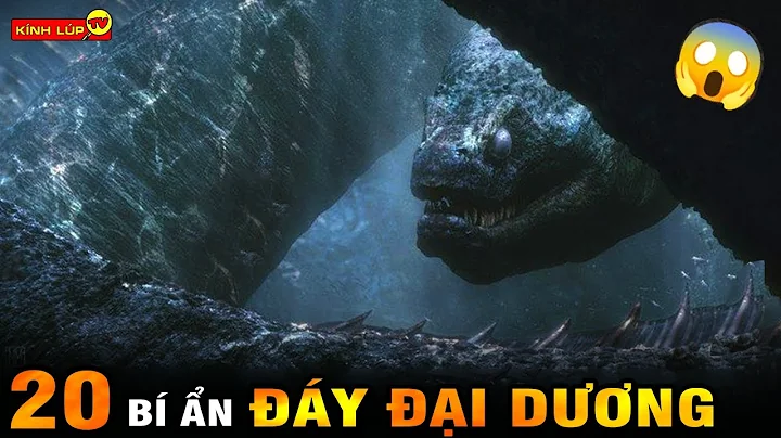🔥 20 Bí Ẩn Ly Kỳ Và Dang So Dưới Đáy Đại Dương Mà Bạn Không Tin Là Chúng Tồn Tại I Kính Lúp TV