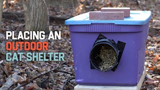 Outdoor Cat Shelter Placement