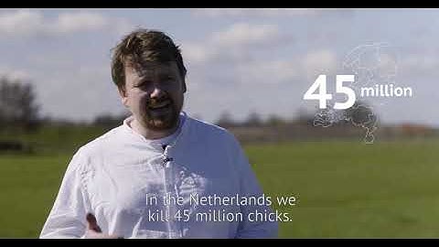 SCIEX Presents an Echo MS System Innovation Story: In Ovo