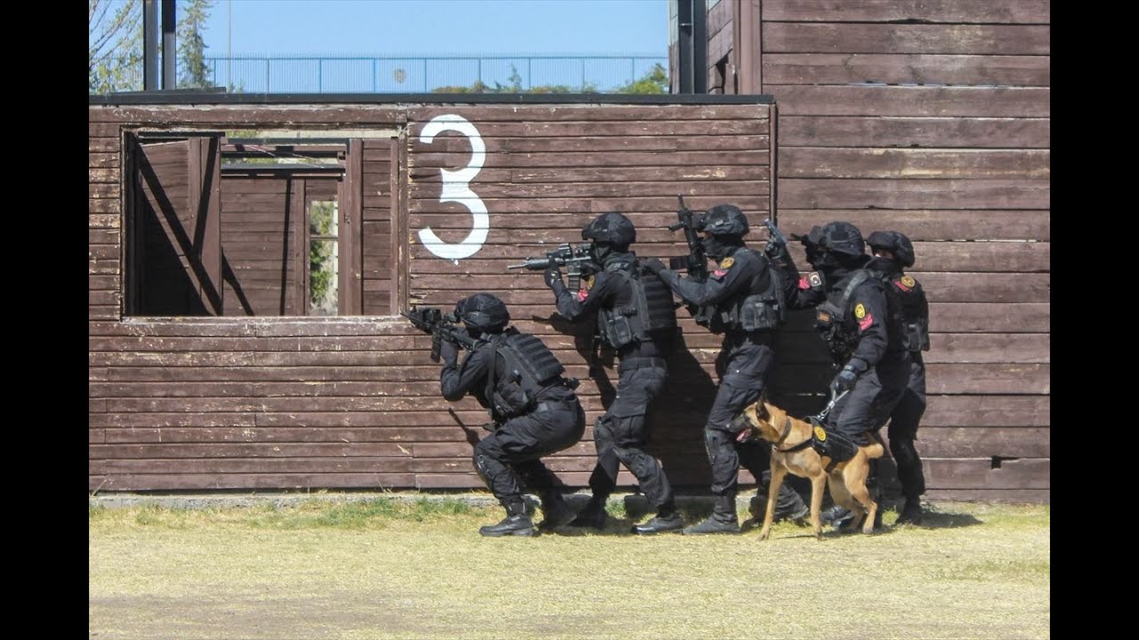 Jandarma köpeğinin 