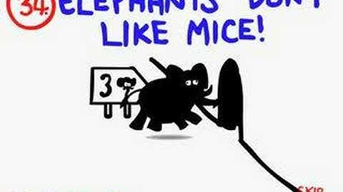 Level 55 in the Impossible Quiz