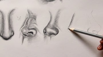 Different types of realistic nose drawing