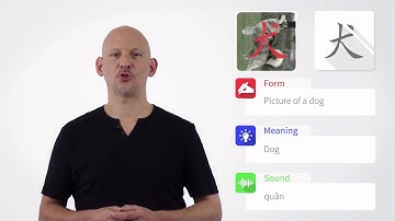 How Chinese Characters Actually Work:  The Three Attributes of Functional Components (Video #1)