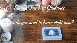 Lifting The Veil - What do you need to know? 
