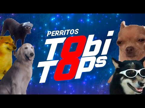 TOBI TOPs - Perritos.
