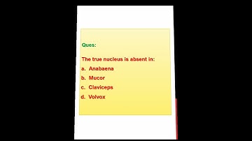 MCQ - 39 l Biological Classification l NEET l ABHYAS l NTA l Most expected Questions l NEET 2021