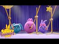 SUNNY BUNNIES - The Talent Show | Season 4 | Cartoons for Children