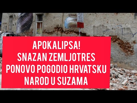 Video: Nizek Krvni Kalij Pri Psih