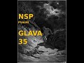 PSALMI(NSP), GLAVA 35