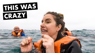 LIMA, PERU: We take a SWIM with the sea lions (and more GREAT restaurants!) | Ep.68