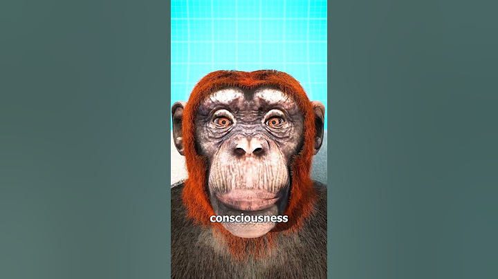 Monkey Head Transplant 🐒 (explained)