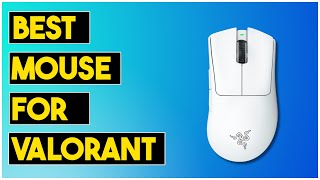 Top 5 Best Mice for VALORANT You Can Buy This Year[2023]