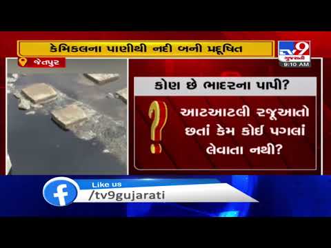 Polluted water being released in Bhadar river, GPCB official misbehaves with media | TV9News