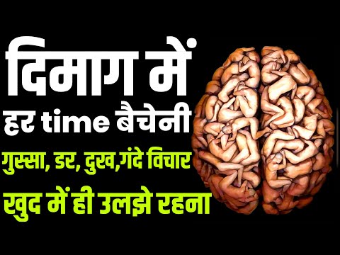 वीडियो: 'टूना मेल्स माई हार्ट' हिलेरीस एलए आधारित वेब सीरीज़ में स्पॉटलाइट चुराता है