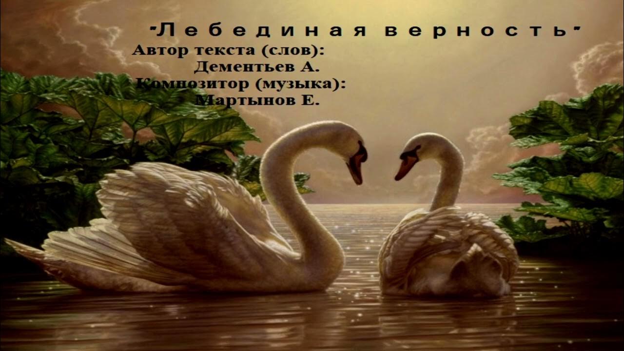 Лебединая верность - YouTube