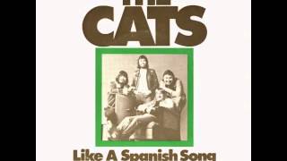 Video thumbnail of "The Cats - Like A Spanish Song"