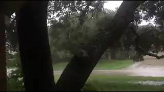 Heavy Storm in Texas by knight ni 541 views 2 years ago 28 seconds