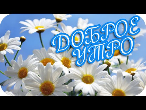 Доброе утро! ❤️Пусть утро будет добрым для тебя!❤️Красивая открытка с пожеланиями❤️