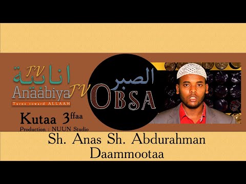 Kutaa 3 Obsa Sh Anas Sh Abdurahman Daammoota Aaabiya TV