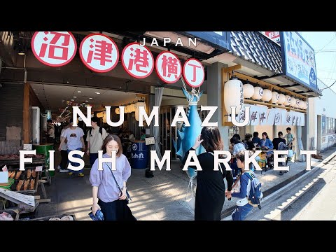 Numazu 4K Walking Tour with Captions & Immersive Sound.沼津魚市場